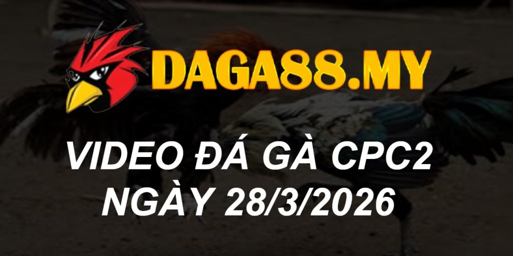 VIDEO GÀ CPC2 NGÀY 28/3/2026