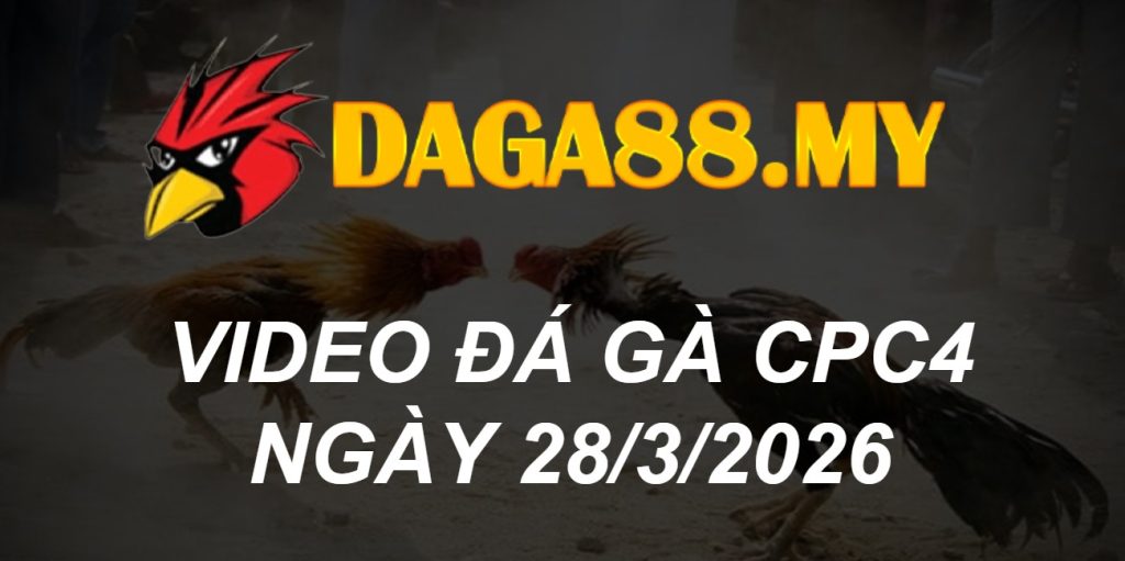 VIDEO GÀ CPC4 NGÀY 28/3/2026